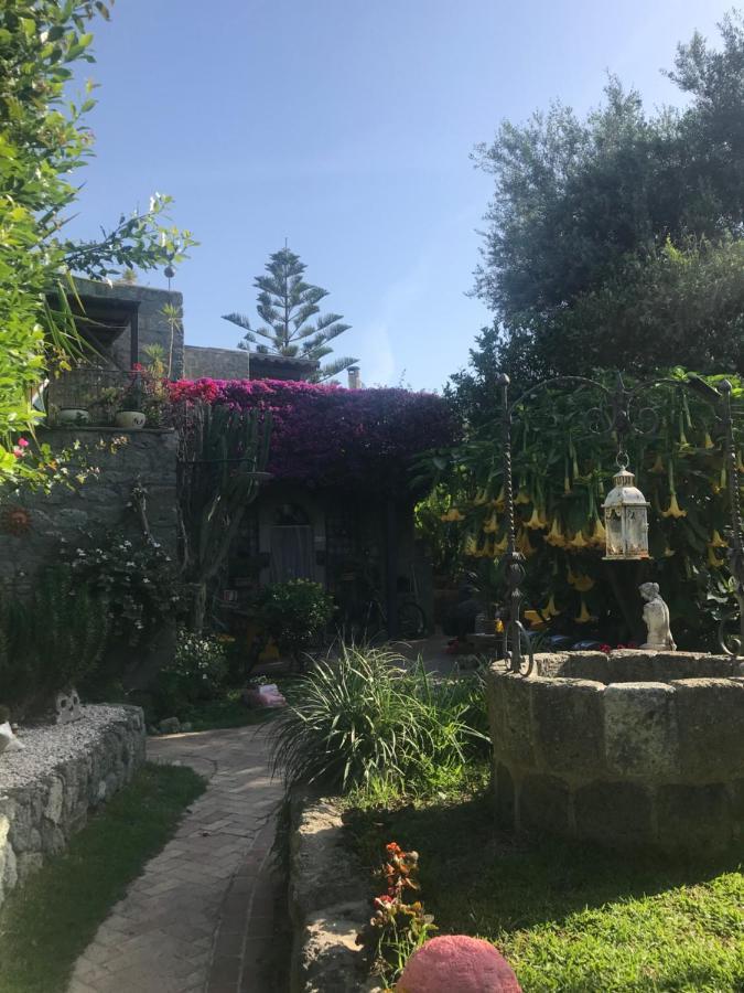 Casa Vacanze Il Pozzo Villa Ischia Island Exterior foto