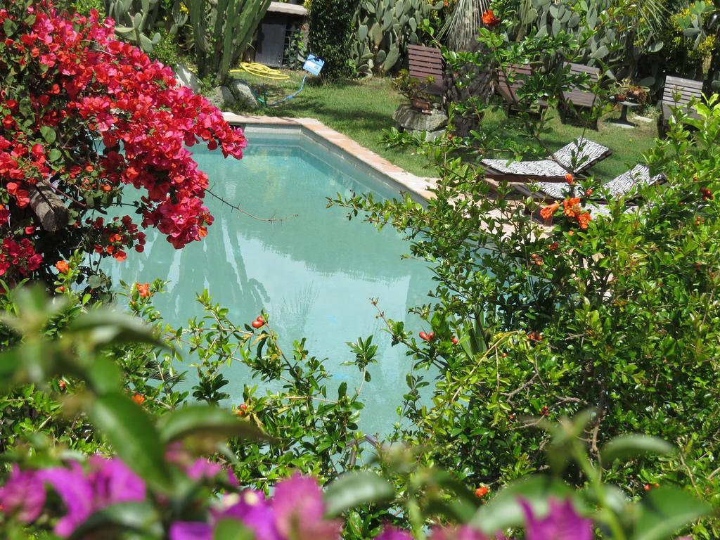 Casa Vacanze Il Pozzo Villa Ischia Island Exterior foto