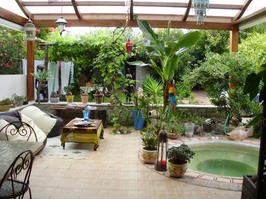 Casa Vacanze Il Pozzo Villa Ischia Island Exterior foto
