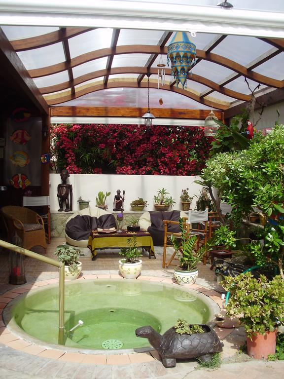 Casa Vacanze Il Pozzo Villa Ischia Island Exterior foto