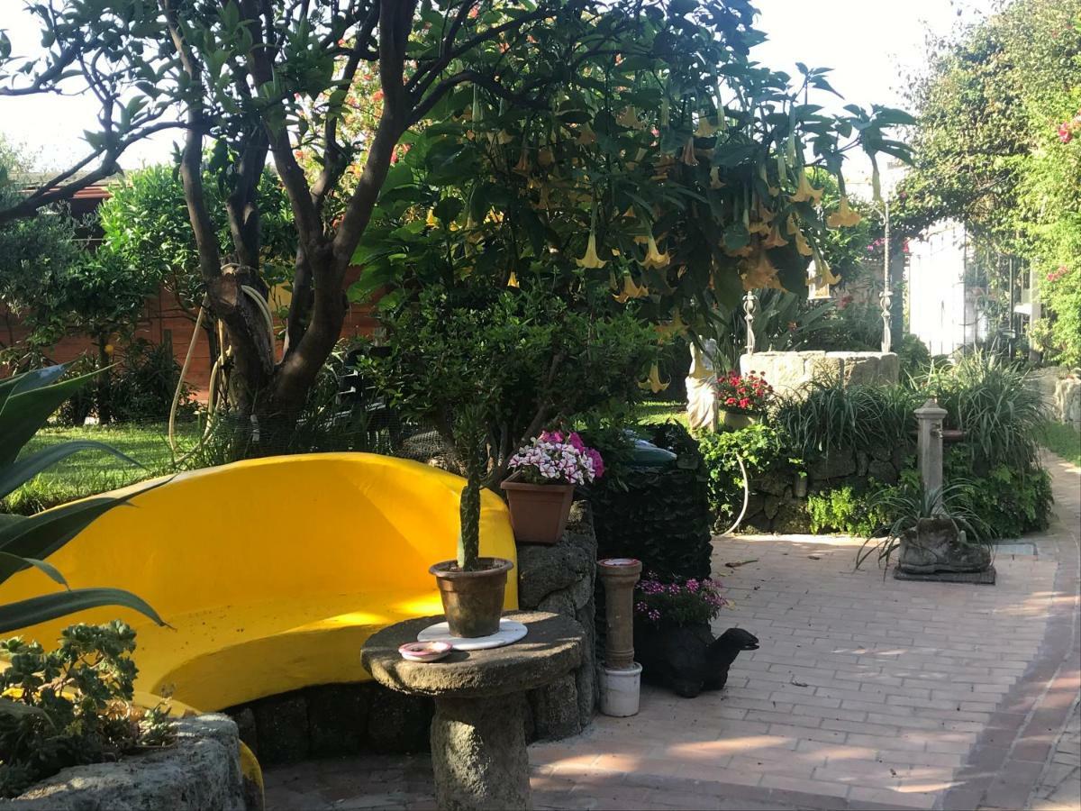 Casa Vacanze Il Pozzo Villa Ischia Island Exterior foto