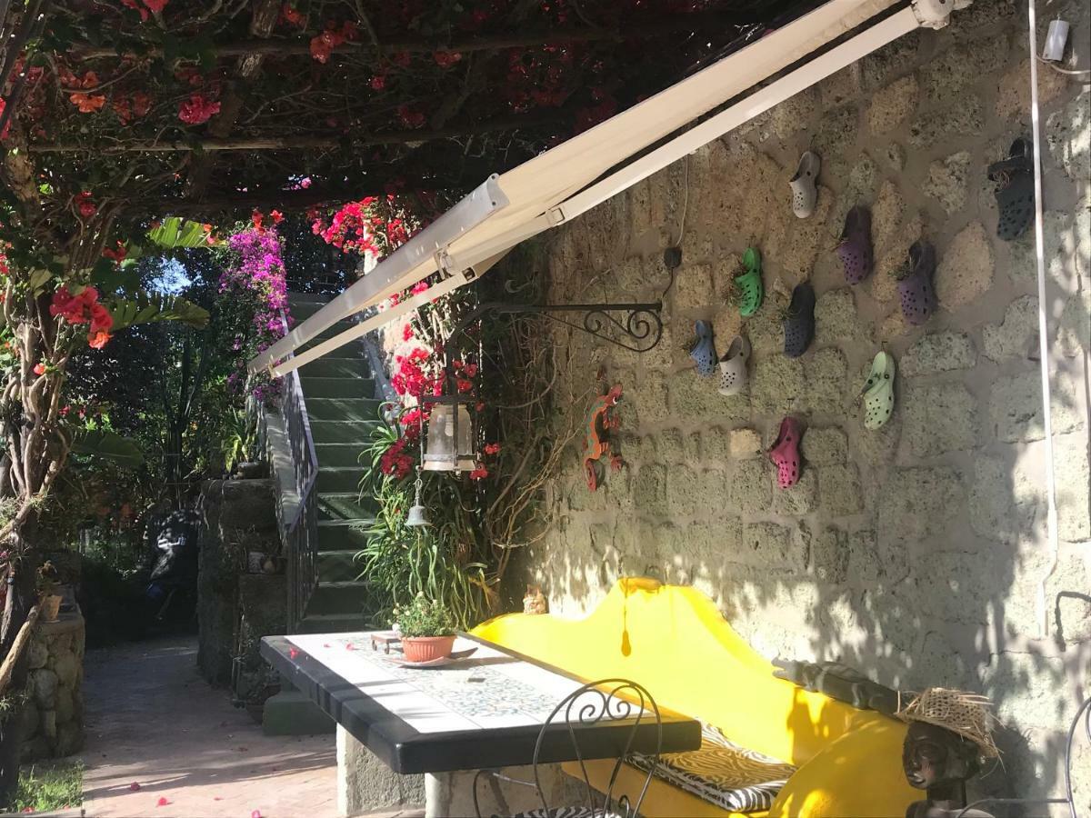 Casa Vacanze Il Pozzo Villa Ischia Island Exterior foto
